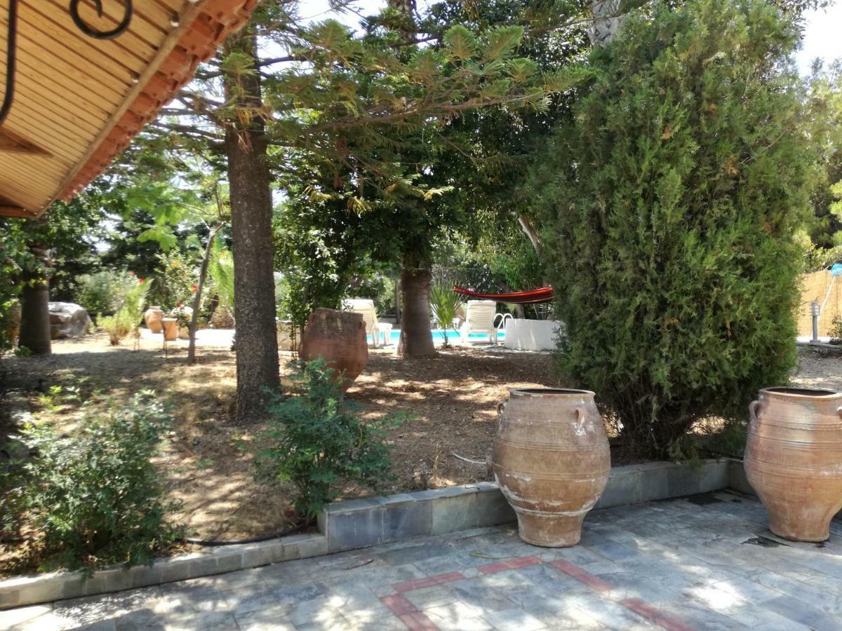 Villa Irene Κως Πόλη Εξωτερικό φωτογραφία